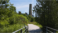 From Common Loons to turtles and butterflies, meet six animals to celebrate this Earth Day