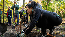 How TD Tree Days help restore natural spaces from coast to coast