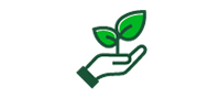 Icon of a hand holding a plant