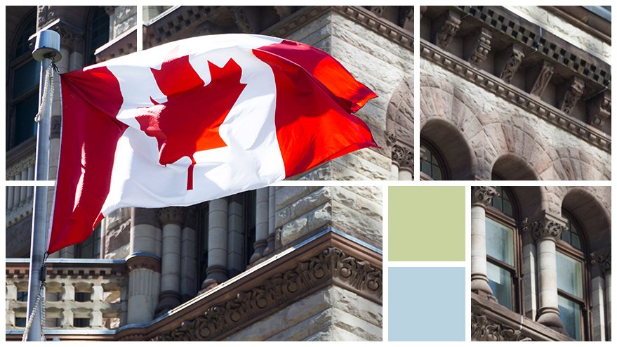 Breaking the Billion Barrier: Why Investors Embraced TQCD