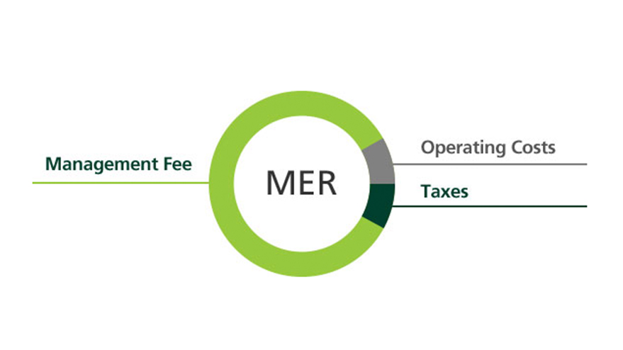 Value Behind MER