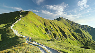 TDAM's Sustainable Investment Approach