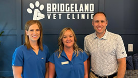 Bridgeland Vet Clinic分享了他们的故事