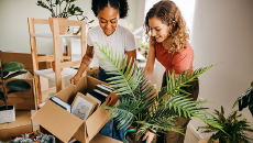Mortgages 101
