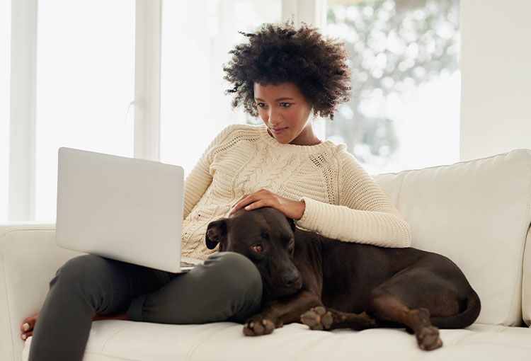 TD Rewards Visa* Credit Card TD Canada Trust