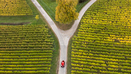 À la croisée des chemins : choisir entre la gestion active et la gestion passive