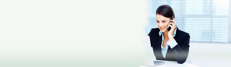 Investor accessing market information using TalkBroker