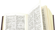 Common investment terms you’ll come across. Common investment terms you’ll come across.