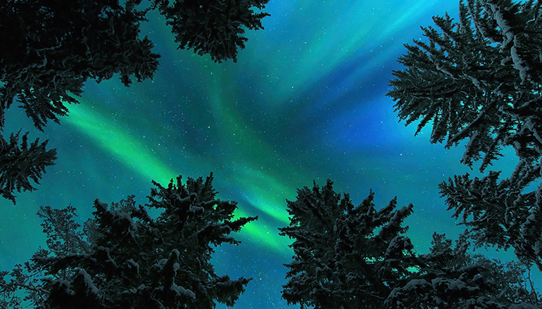 Canada’s Investment Comeback: Why the World Is Looking North in 2026