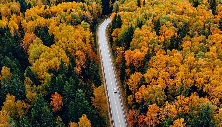 Market Perspectives: Building Resilience - Four Pillars Shaping the Investment Landscape