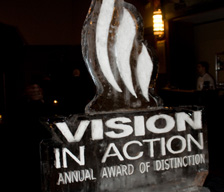 Vision en action en glace