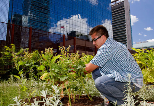 Photo d'un jardinier citadin