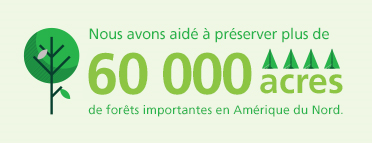 Nous avons aidé à préserver plus de 60 000 acres de forêts importantes en Amérique du Nord.