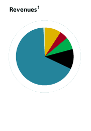 Revenue