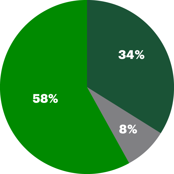 TD's Premium Retail Earnings Mix chart