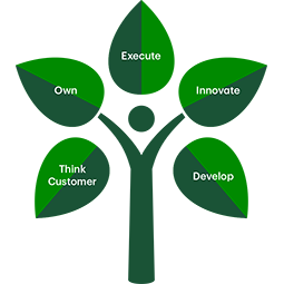 TD framework tree