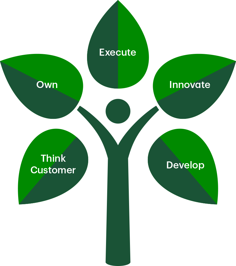 Think customer, own, execute, innovate, and develop