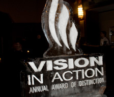 Vision in Action in ice.