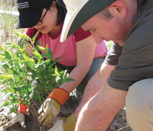 TD Mutual Funds employees planting trees