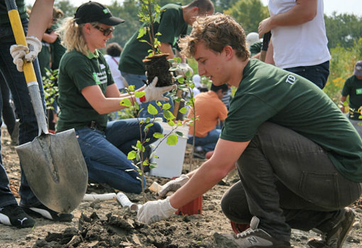 TD employees planting trees