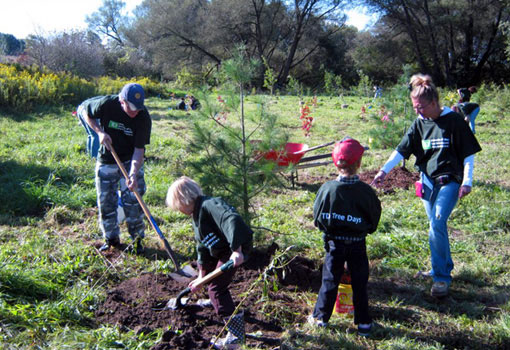 Photo of volunteers