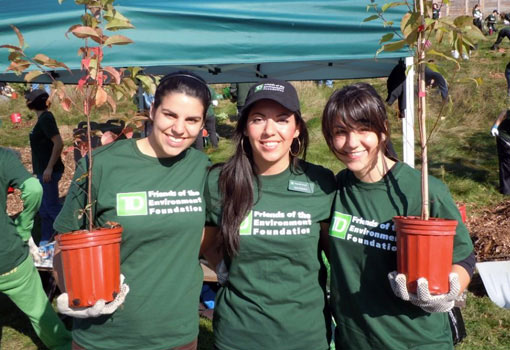 Photo of volunteers