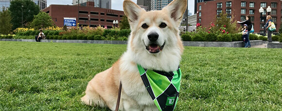 TD Bank Ready Commitment Initiatives and ESG Funding Opportunities