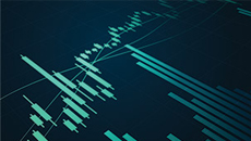 U.S. Liquidity Management